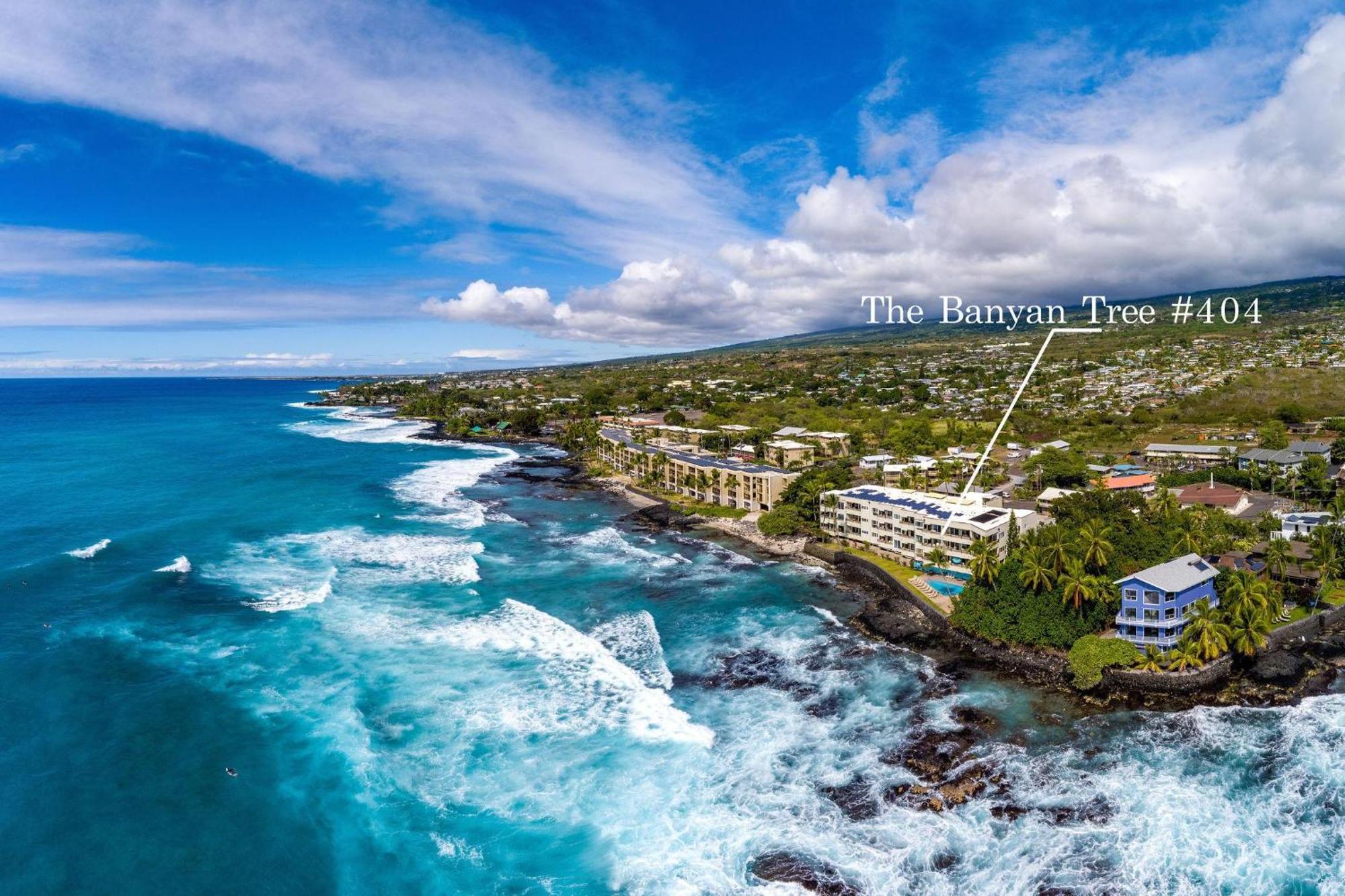 Banyan Tree 404D Villa Kailua-Kona Exteriör bild