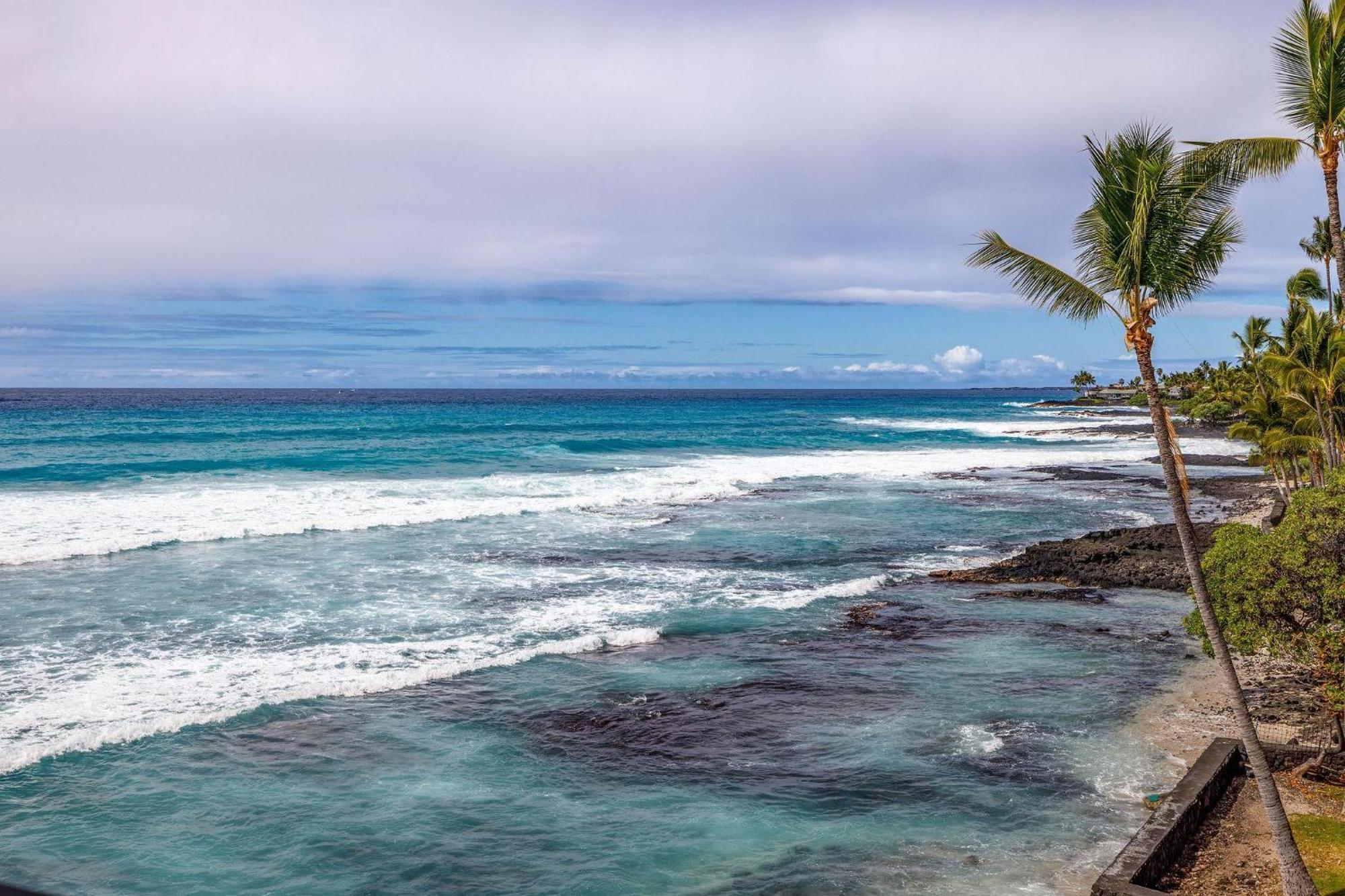 Banyan Tree 404D Villa Kailua-Kona Exteriör bild